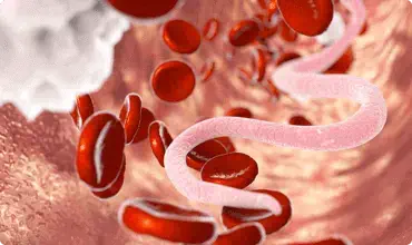 Układ odpornościowy