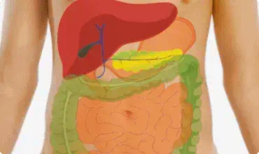 Składniki odżywcze